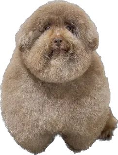 Sticker Ебучий - 3