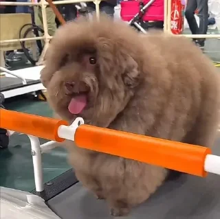 Sticker Ебучий - 0