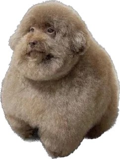 Sticker Ебучий - 1