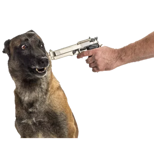 Ебучий Фотосток - Человек