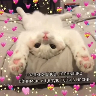 Sticker @Stickersloving - 0