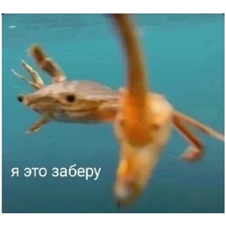 Стикер Ещкере - 4