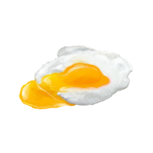 egg yolk egg white food