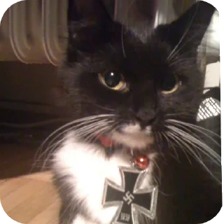 Sticker Очень крутые стикеры - 5