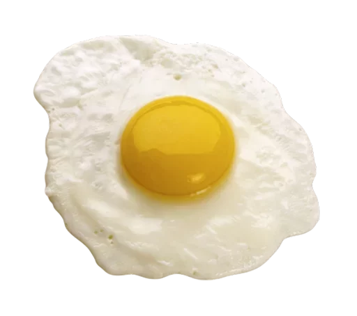 egg yolk egg white fried egg