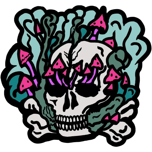 графика череп искусство