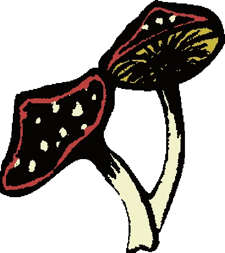 art drawing butterfly