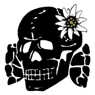 skull sketch drawing