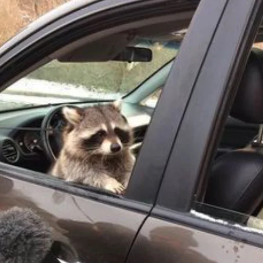 Sticker Набор Эди - 11