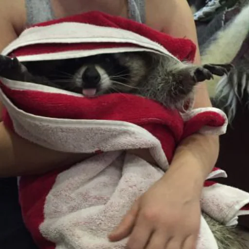 Sticker Набор Эди - 8