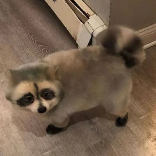 Sticker Набор Эди - 3