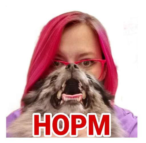 собака мех домашнее животное