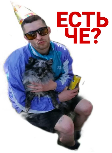 собака Человек домашнее животное