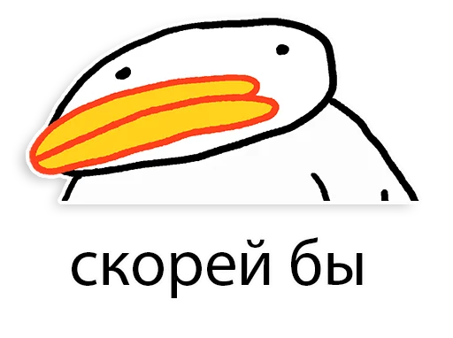 bird drawing clipart