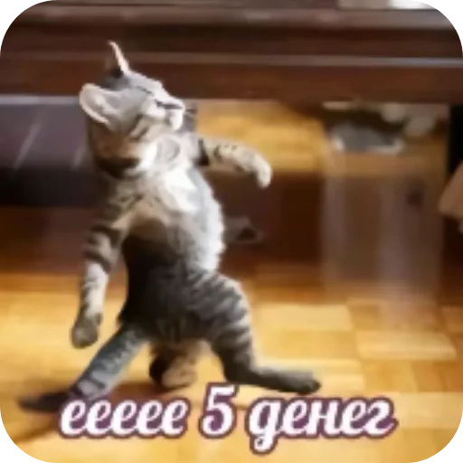 еее деньга - 