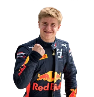 Sticker Eestimaa - 11