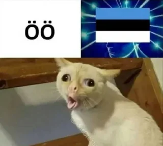 Sticker Eestimaa - 3