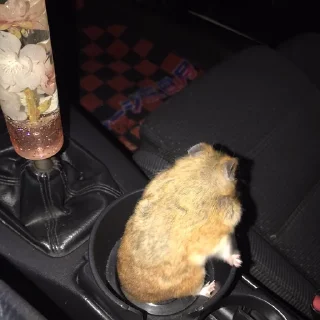 Sticker хатяба - 1