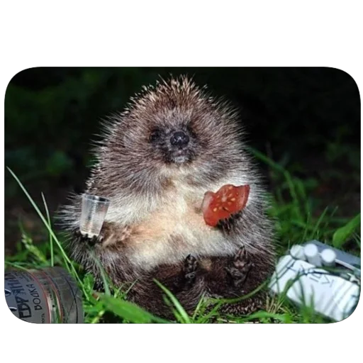 Стикер Efik5261 - 1