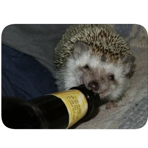 Sticker Efik5261 - 1