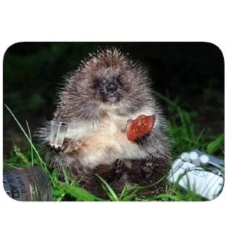 Sticker Ёфыки - 5