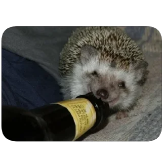 Sticker Ёфыки - 2