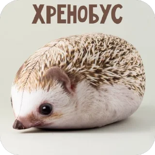 Sticker Ёфыки - 1