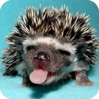 Sticker Ёфыки - 7