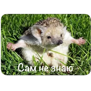 Sticker Ёфыки - 4