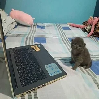 Sticker Efros & Malinov - 7