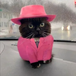 Sticker Efros & Malinov - 2