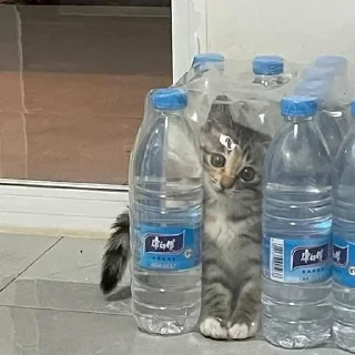 Sticker Efros & Malinov - 6