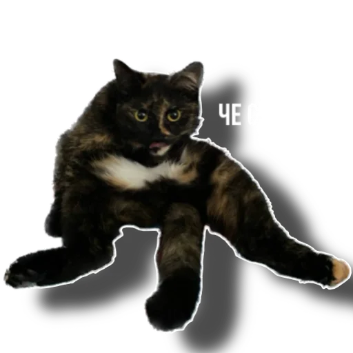 Sticker Eg_i_svin - 1