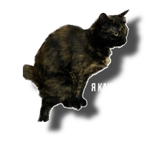 Sticker Eg_i_svin - 1