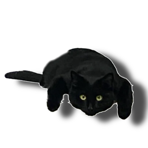 Sticker Eg_i_svin - 1