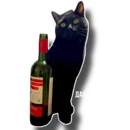 Sticker Eg_i_svin - 1