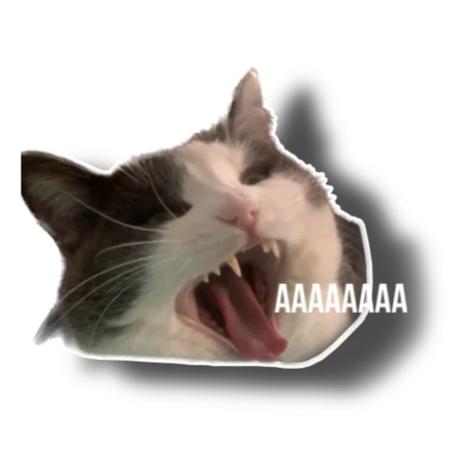 Стикер Eg_i_svin - 1