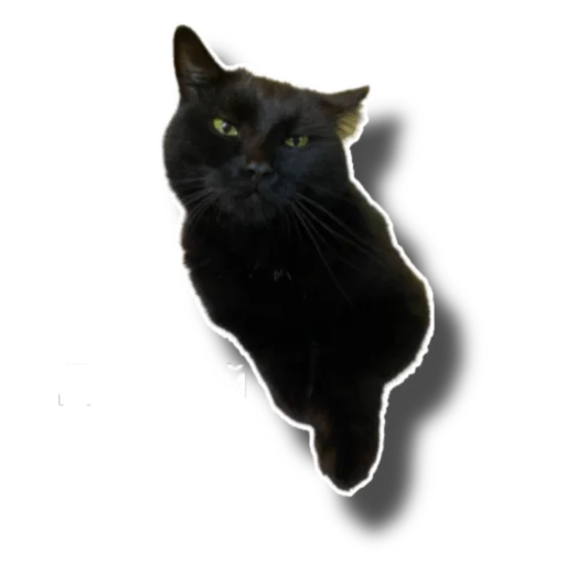 Sticker Eg_i_svin - 1