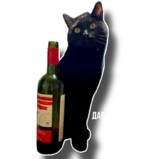 Sticker Еж свинье товарищ - 4