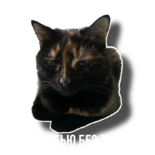 Sticker Еж свинье товарищ - 10