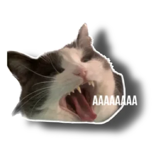 Sticker Еж свинье товарищ - 3