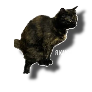 Sticker Еж свинье товарищ - 7