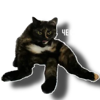 Sticker Еж свинье товарищ - 9