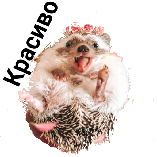 Sticker Egik_wellnessveta - 1