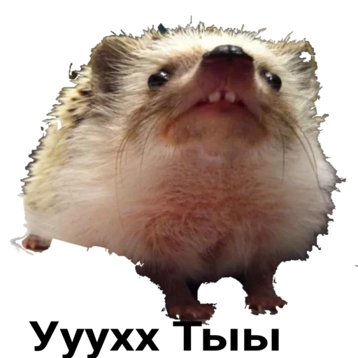 Sticker Egik_wellnessveta - 1