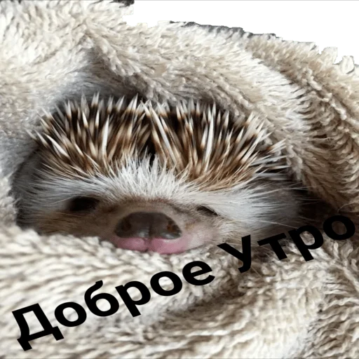 Sticker Egik_wellnessveta - 1