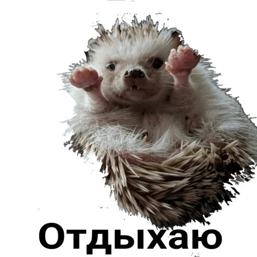 Sticker Egik_wellnessveta - 1