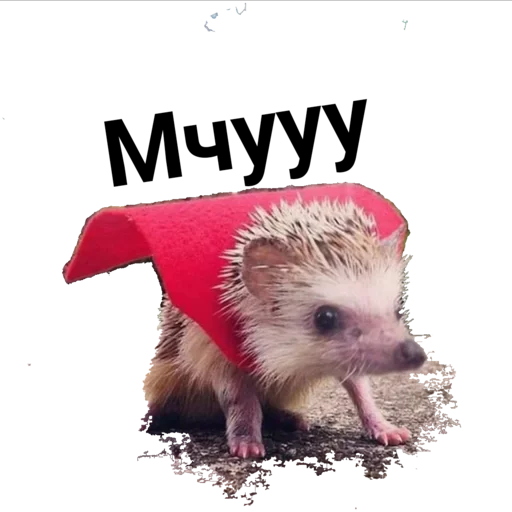 Sticker Egik_wellnessveta - 1