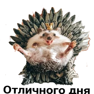 Sticker hedgehog_(@Wellness_sveta - 10