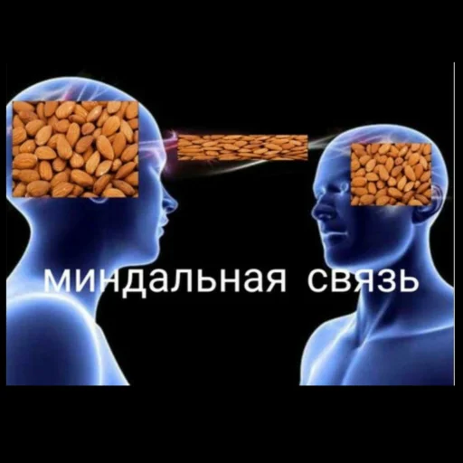 Sticker Elizabeth story - 4